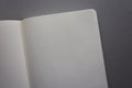A close view of inside an open dotted notebook on a grey background. Top view. Minimalism style