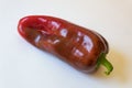 Close view of a large red Capsicum annuum Cubanelle Cuban Italian frying pepper