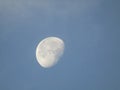 A close view of moon in broad day light Royalty Free Stock Photo