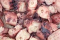 Close view of octopus chunks in garlic sauce Royalty Free Stock Photo