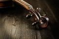 Close view of old violin and strings in vintage style Royalty Free Stock Photo