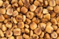 Close view of organic corn nuts Royalty Free Stock Photo
