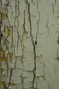 Close view of peeling paint on old yellow wooden wall Royalty Free Stock Photo