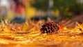 Close view on a pine cone lying on a bed of pine needles Royalty Free Stock Photo