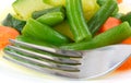 Close view of a plate of vegetables and fork Royalty Free Stock Photo