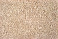 Close view of plush tan carpeting
