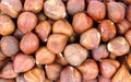 Close View Raw Filbert Nuts Royalty Free Stock Photo