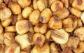 Close view of roasted salted corn nuts Royalty Free Stock Photo