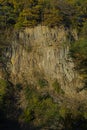 Close view on a Rock wall with autumn forest in the evening light. Royalty Free Stock Photo