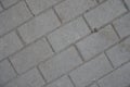 Close view of running bond brick-like gray concrete pavement