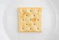 Close view of saltine cracker on a plate Royalty Free Stock Photo