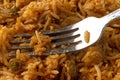 Close view of a serving of spicy rice with a fork in the food
