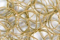Close view small rubber bands Royalty Free Stock Photo