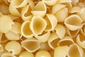 Close view small uncooked pasta shells