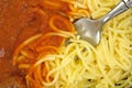 Close view of spaghetti with tomato sauce and fork Royalty Free Stock Photo