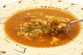 Close view of spicy chicken soup