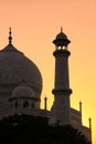 Close view of Taj Mahal at sunset in Agra, Uttar Pradesh, India Royalty Free Stock Photo