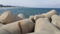 Close view of tetrapod stones on the sea shore to prevent coastal ersosion Royalty Free Stock Photo