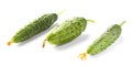 Close view of cucumbers Royalty Free Stock Photo