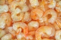 Close view of tiny shrimp