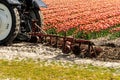 Tractor harrowing the tulip field Royalty Free Stock Photo