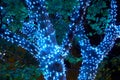 Close view of tree illumination garland at night, city street Royalty Free Stock Photo