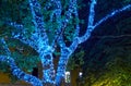 Close view of tree illumination garland at night, city street Royalty Free Stock Photo