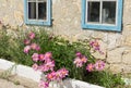 Close view on Ukrainian old peasant house and flower bed with peonies