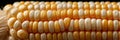 Close-up View of Yellow and White Corn Kernels Showcasing Texture and Detail Against a Dark Background During Daylight Royalty Free Stock Photo