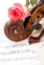 Close view of violin scroll, bow and red rose Royalty Free Stock Photo