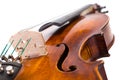 Close view of a violin strings and bout