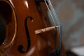 View of a violin strings and bridge