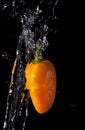 Close Yellow Pepper Splash Royalty Free Stock Photo