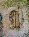 Closed arched window on stone wall and ivy foliage Royalty Free Stock Photo