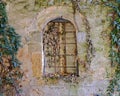 Closed arched window on stone wall and ivy foliage Royalty Free Stock Photo