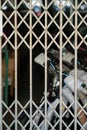 Closed bicycle shop. Metal grid concept Royalty Free Stock Photo