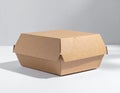 Closed Blank Brown Cardboard Food Box Packaging on White Surface in Studio Royalty Free Stock Photo