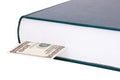 Closed book with a bookmark $ 100 on the right Royalty Free Stock Photo