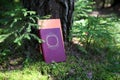 Closed books outdoor. Knowledge is power. Book in a forest. Book on a stump Royalty Free Stock Photo