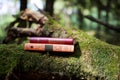 Closed books outdoor. Knowledge is power. Book in a forest. Book on a stump Royalty Free Stock Photo