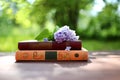 Closed books outdoor. Knowledge is power. Book in a forest. Book on a stump Royalty Free Stock Photo