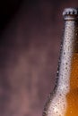 Closed bottle of cold beer Royalty Free Stock Photo