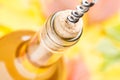 A closed bottle of white wine with corkscrew. Top view. Royalty Free Stock Photo