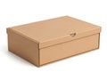 Closed brown cardboard shoe box on white background isolated on white background Royalty Free Stock Photo