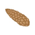Closed brown pine cone on a white background. Vector illustration.