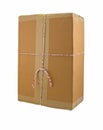 Closed cardboard box taped up and isolated Royalty Free Stock Photo