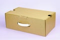 Closed cardboard shoe box with plastic handle