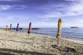 Closed color umbrellas in the beach