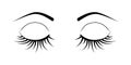 Closed eyes eyelash extensions