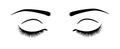 Closed eyes with eyelashes. Eyelash illustration vector